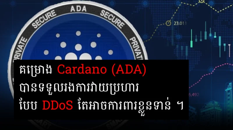 cardano ddos