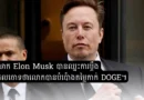 elon musk win lawsuit